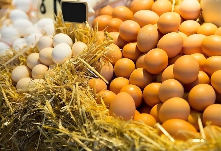 eggs-18fb079ace4ca934202f14632bbebffc