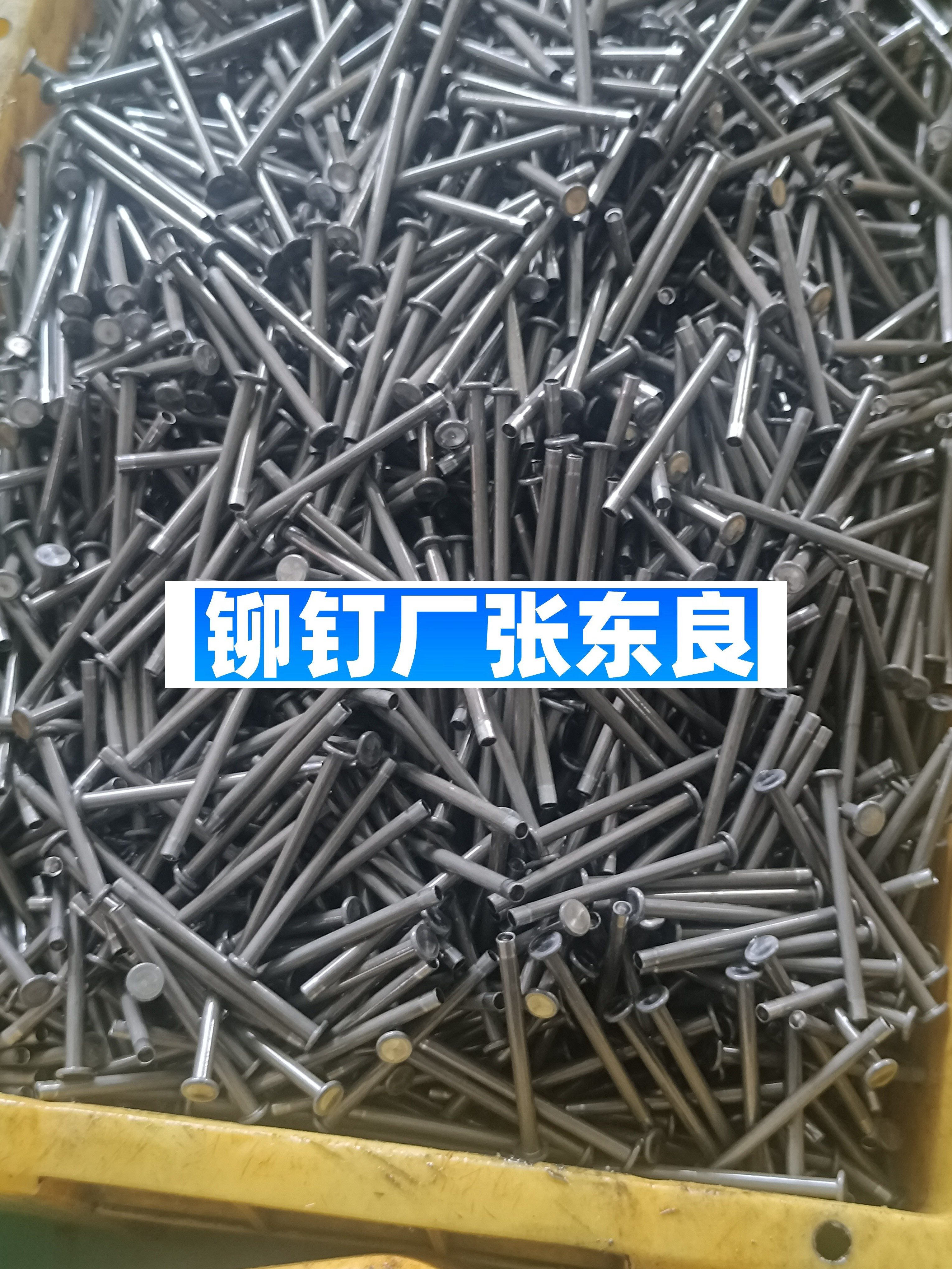 1000098868-cea0722c9025f9589210259ca0ff9820