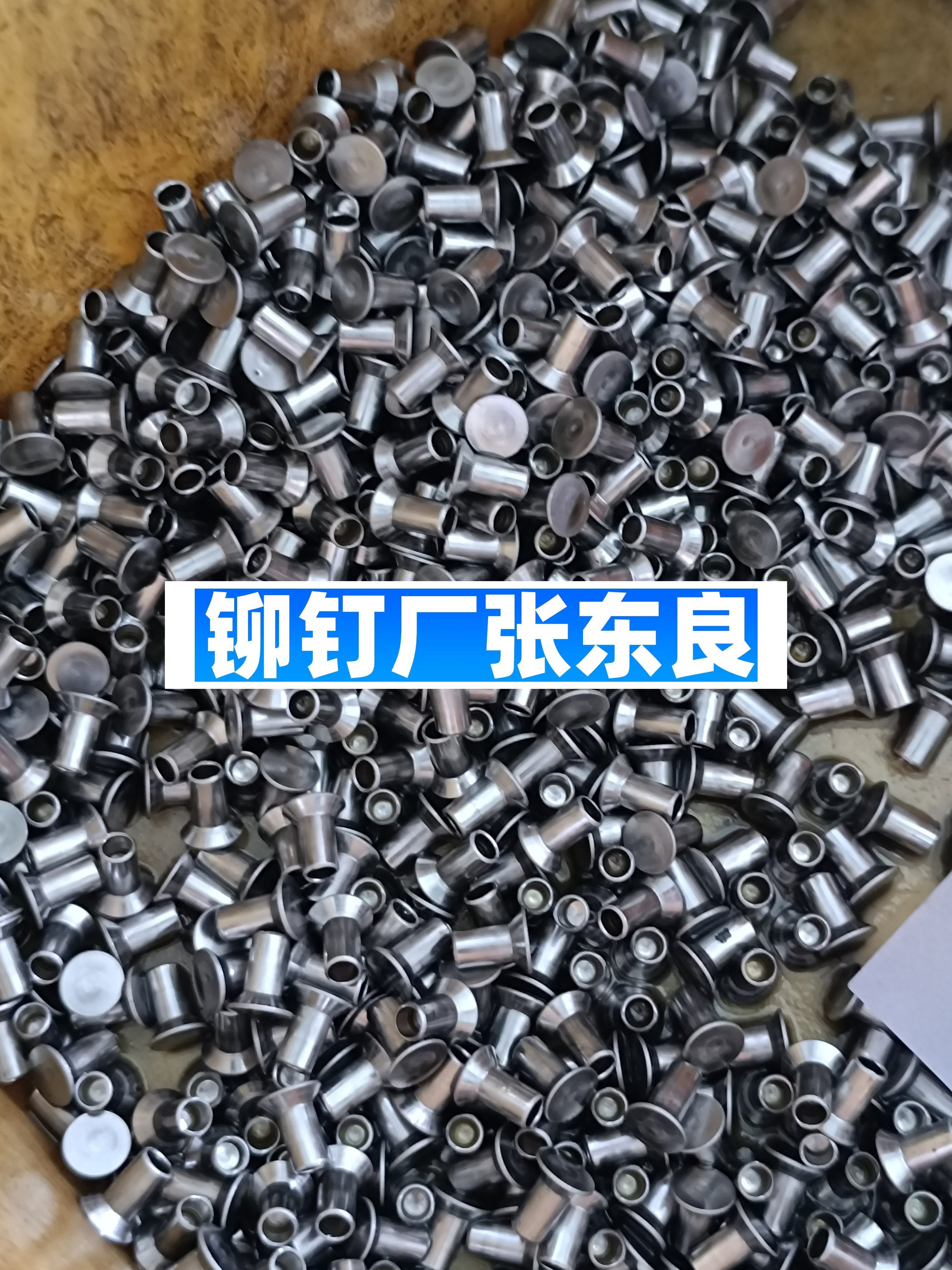 1000098996-c8d2e0d64f00a72462c58df3ecc4494d