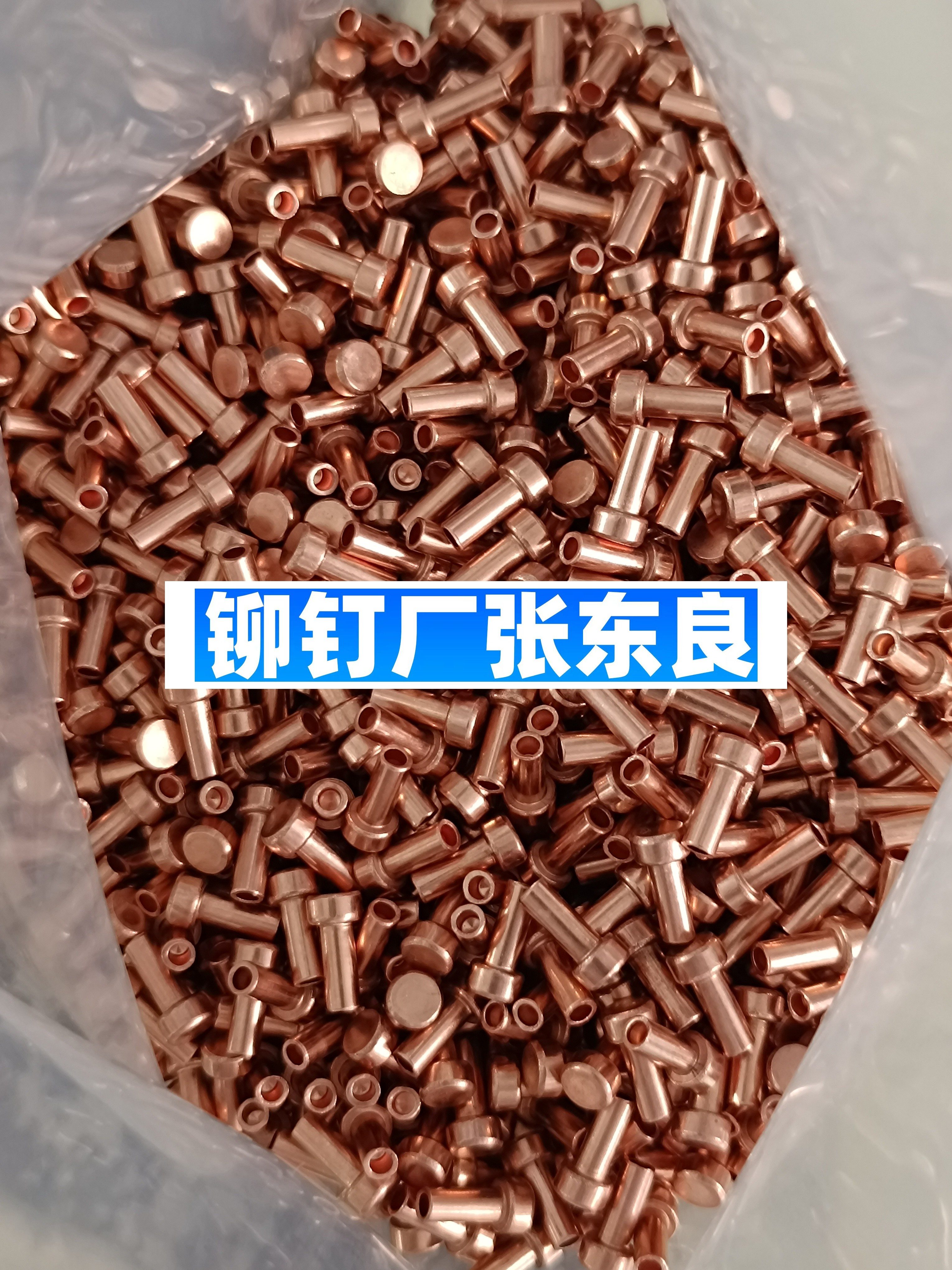 1000099535-1bfc4b66aba340b50dfd26a8bc3d789d