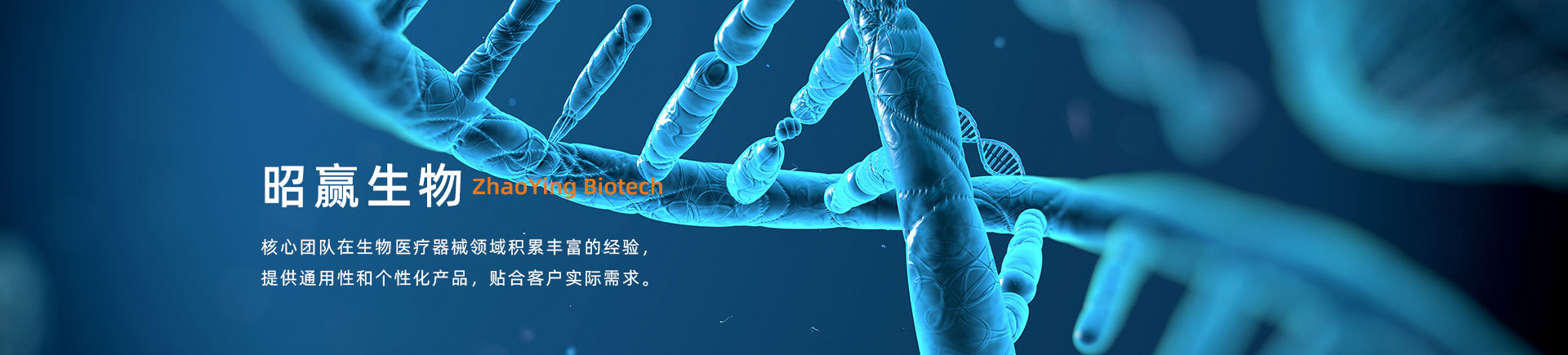 zhaoying-banner1-db0035f6c4d421627cf883acb81fa25e