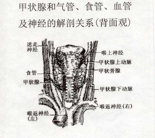R-C.d52657b360c293071d7d6f0365623314-7347967dac29cb9e6c30010483a6b25d