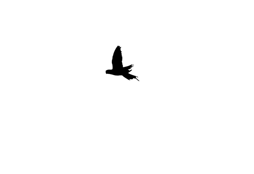 96_20260921084524-202a7a