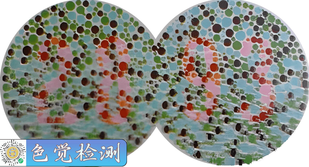 image_6-00bb85e2a2acf1ca646baaeb0b0cea7a
