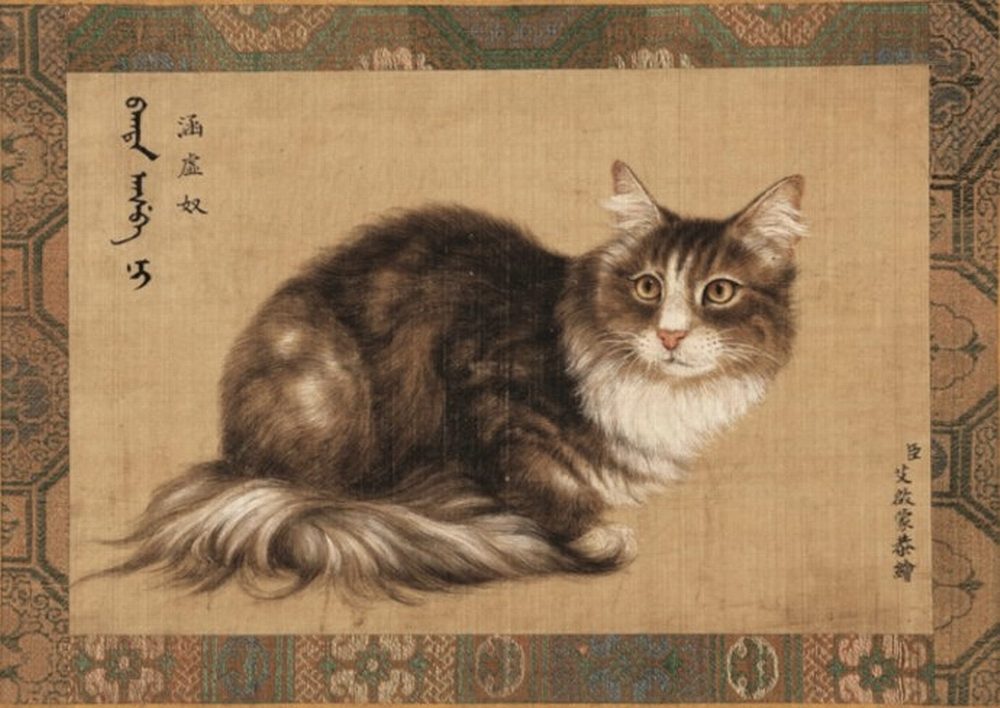 Cat3-fe05c86ee40b14c402fa632a2fee8696