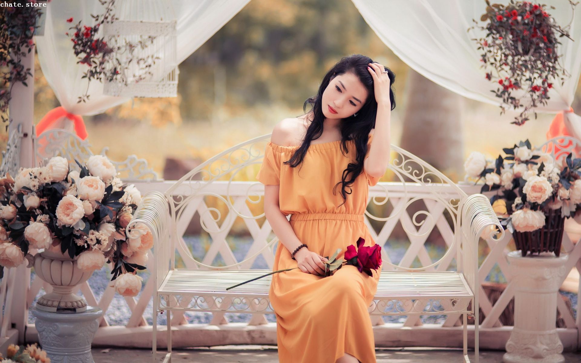 kp04297-2853354c97d7ab8538a7382cd4748dec