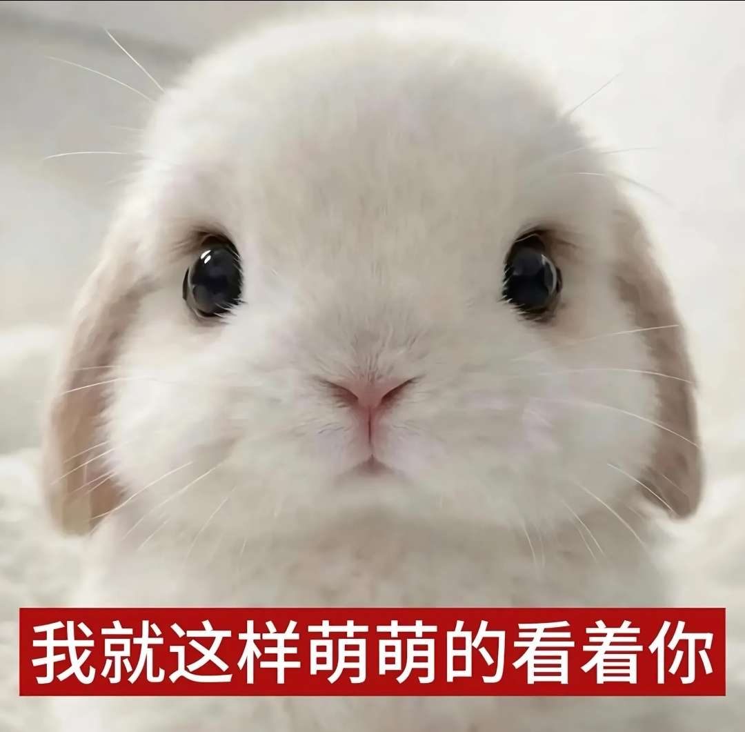 2nrj6vgjqjirs1rktfr6mtqo4b