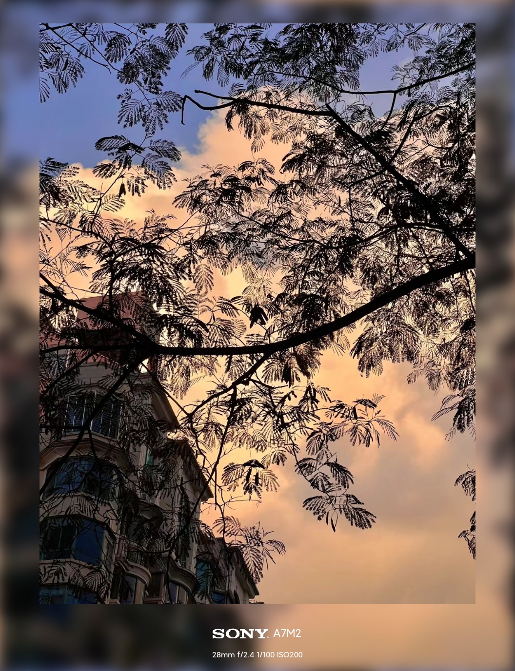 _20240824135721-319ff54991f9c7bb402ed0b61137daf6