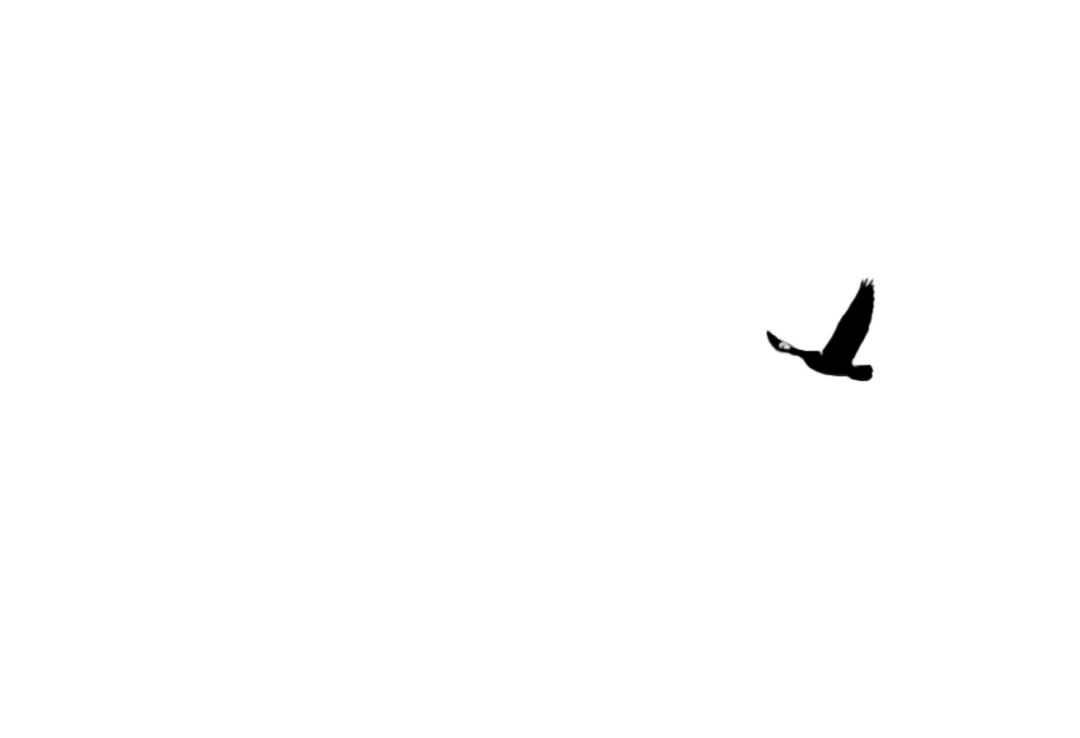 96_20260921084452-7775b5