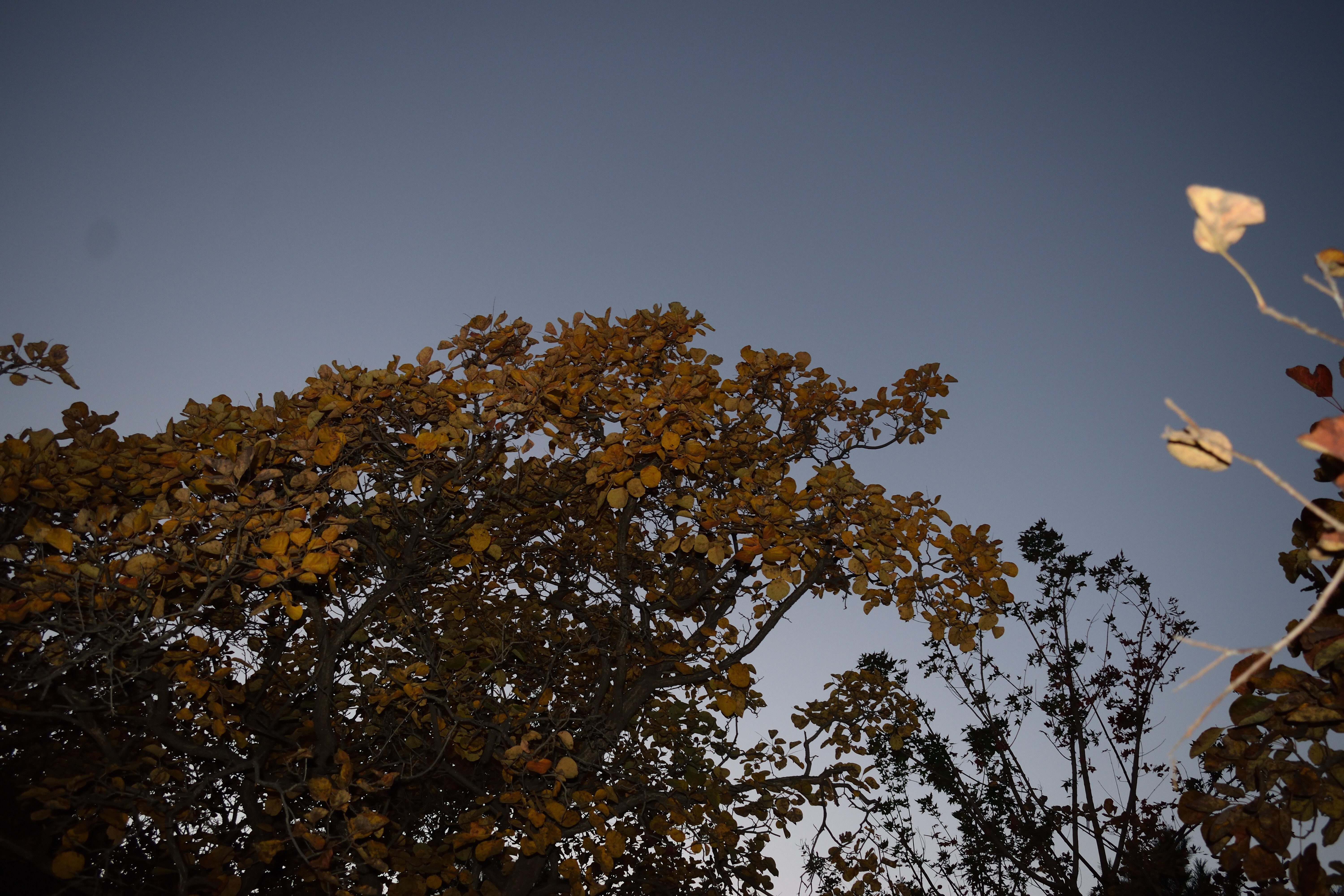 DSC_0497-f54f3392a67effaf64b68bb167dca6ad