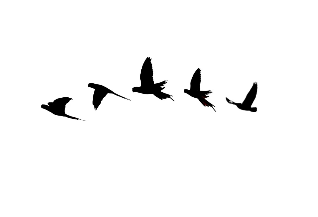 95_20260919080444
