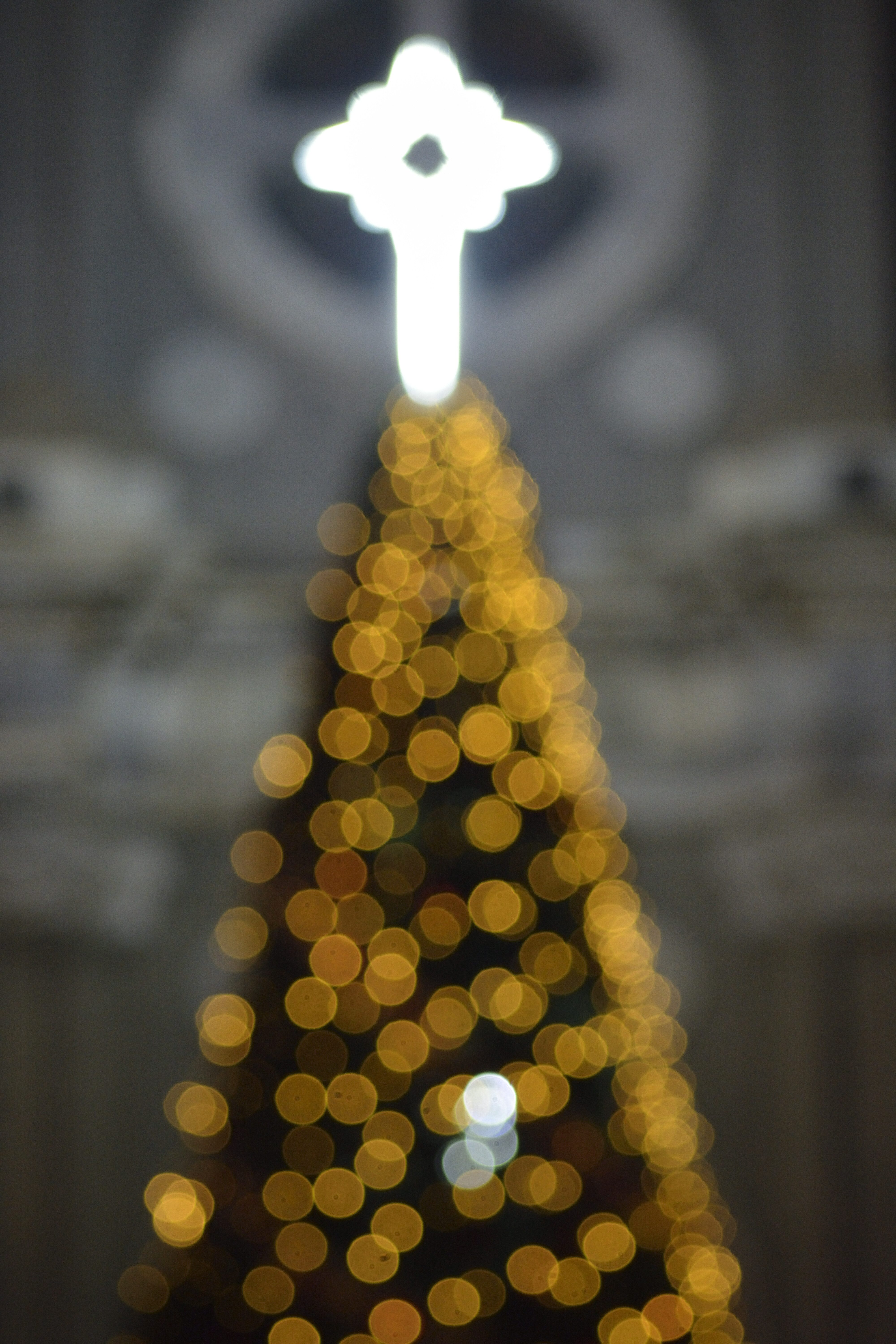 _DSC6029-51a9ae0356f4f502b4ef9c8a1af42290