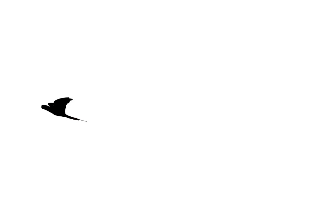 96_20260921084556-2a6462