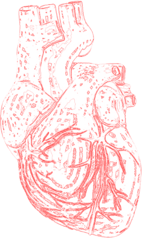 84_20260908165649