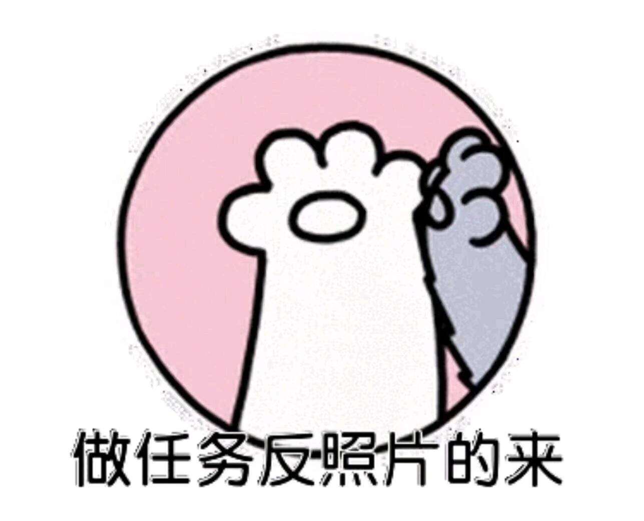 1000049860-7f54b4beadd1c18dadc2504a50649d12