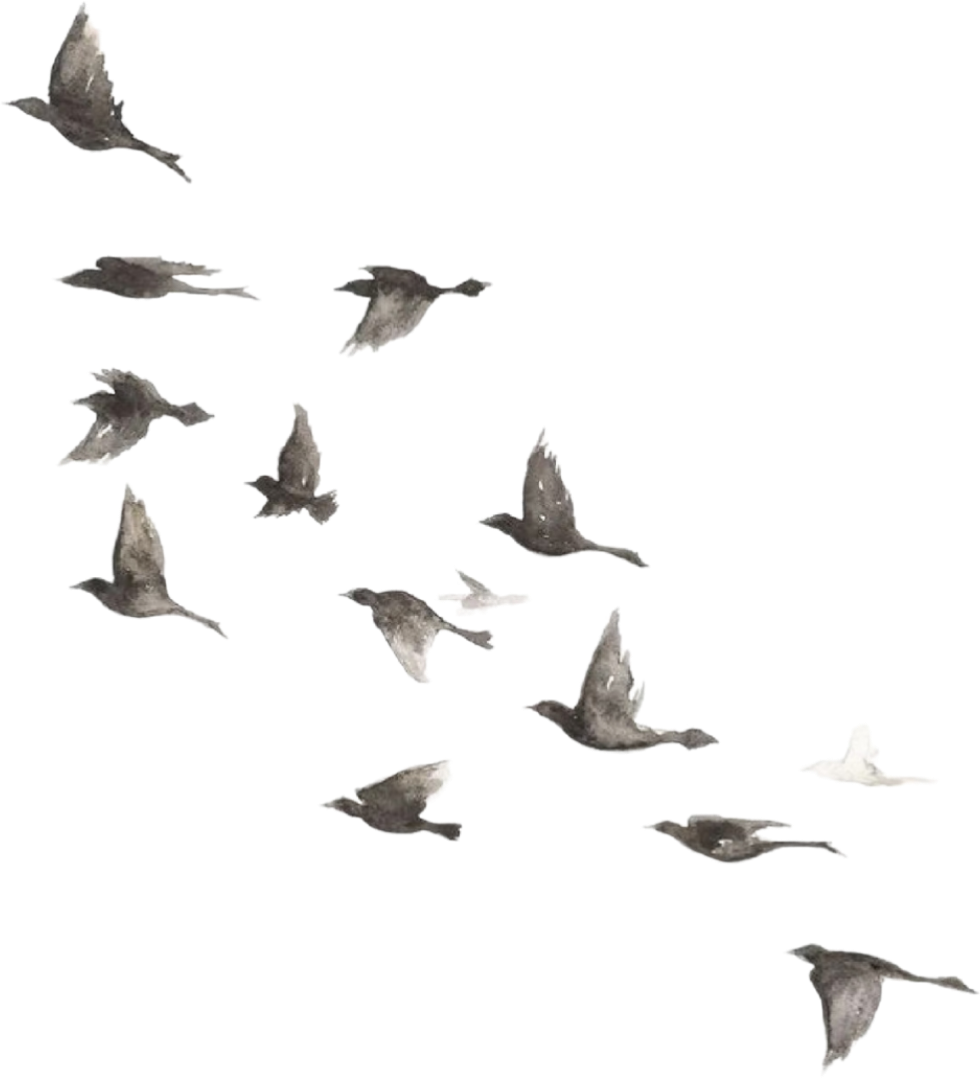 ef39dbaf80e25015e306bfc3d0fb6c8cb8246e00010f926e53003bf458abcd0b.0