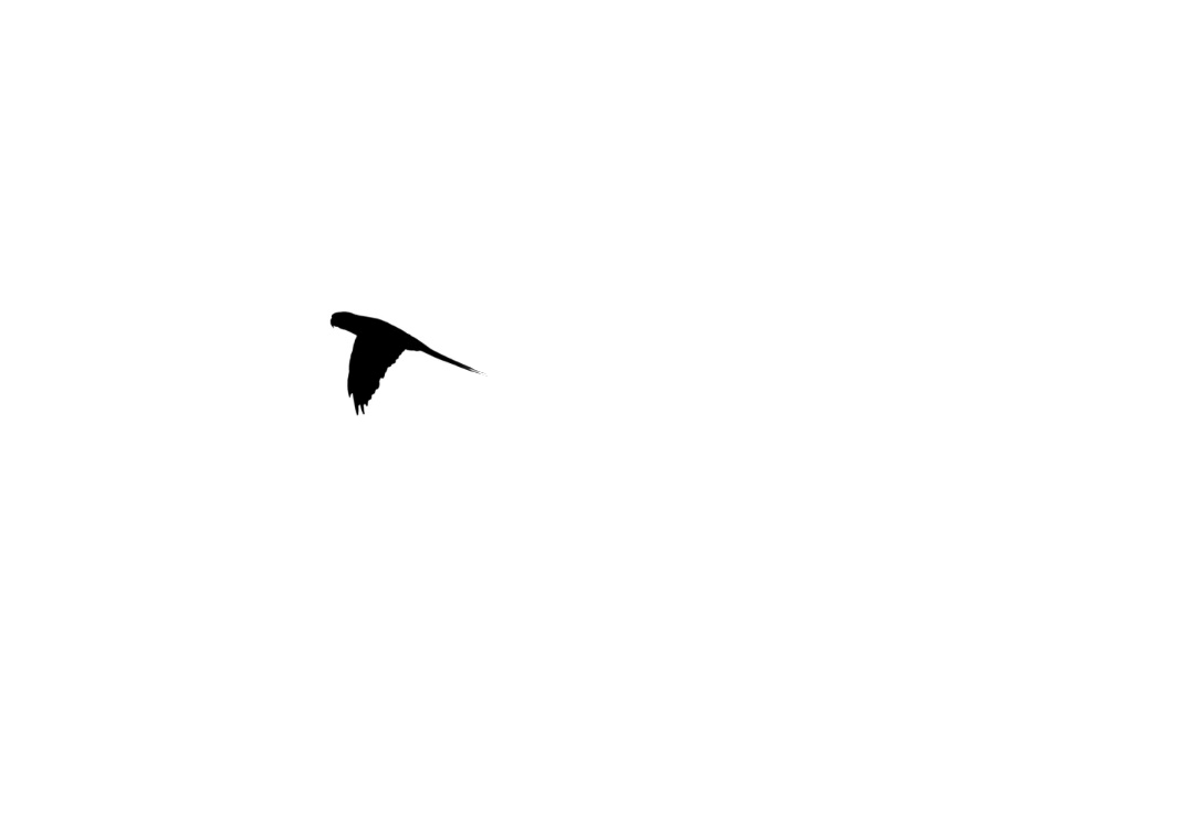 96_20260921084547-0ced99