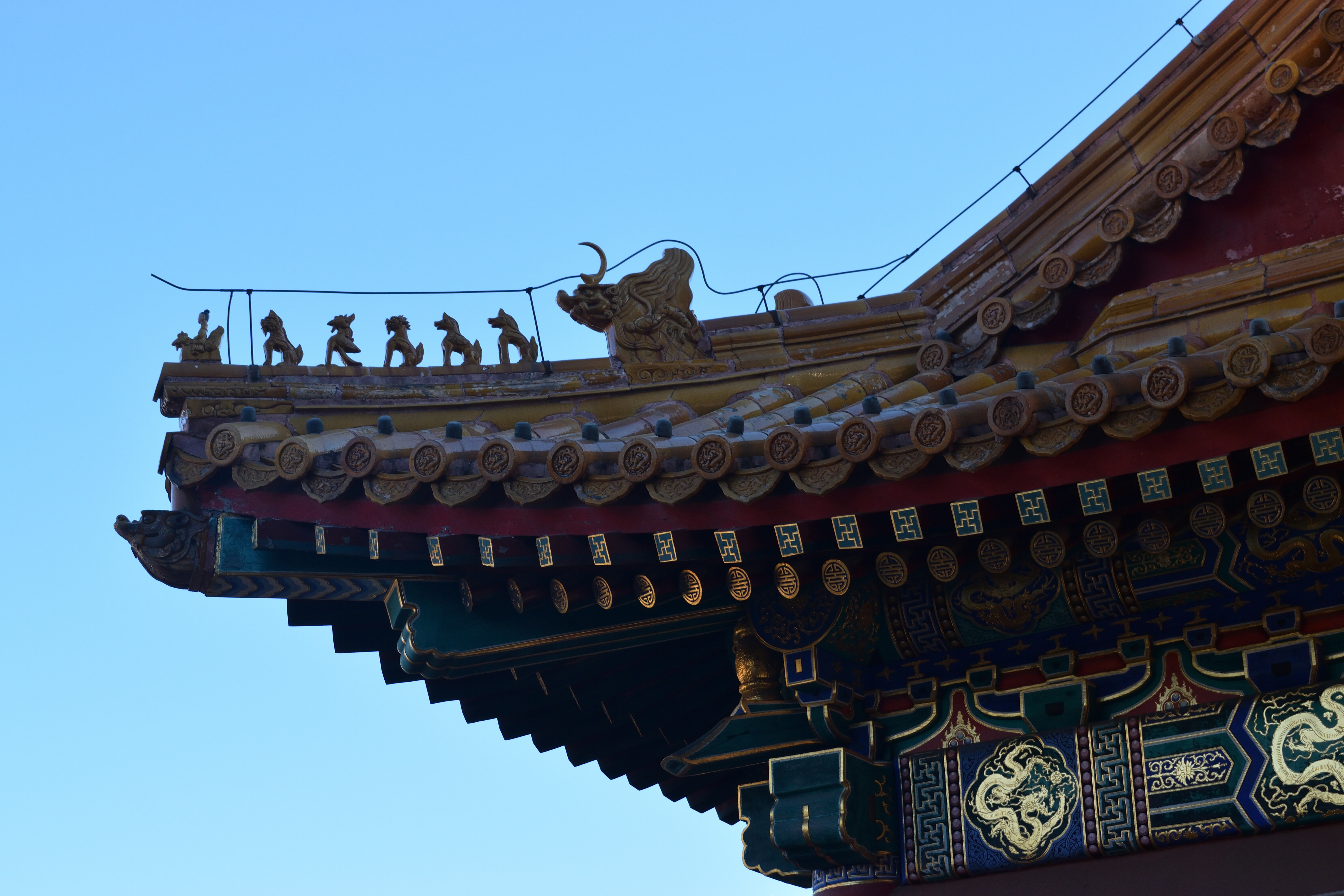 DSC_1007-a5934a48f9d5fbf4d05a5eddeb5d7e0d