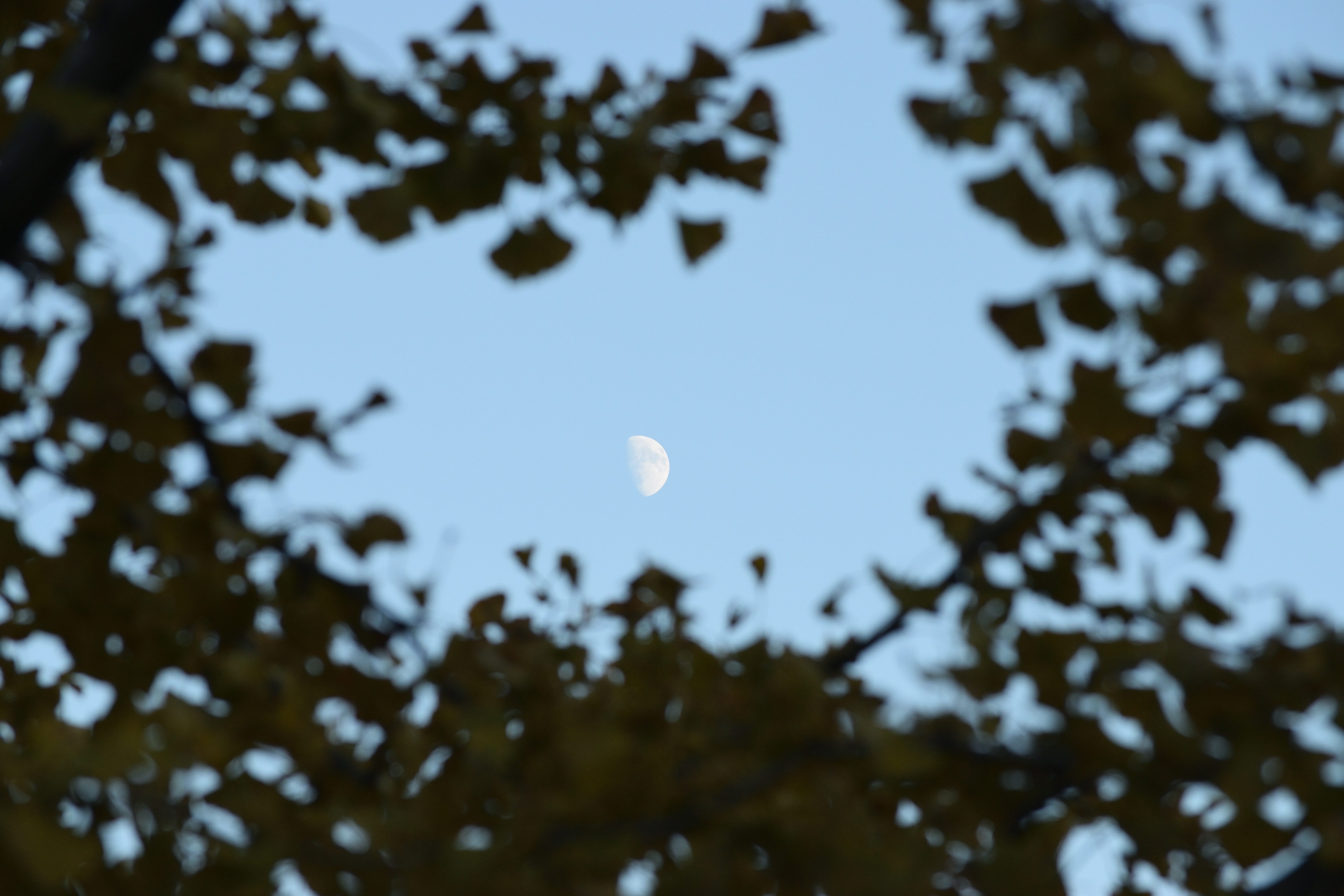 DSC_0432-b0a522ad73b10b2cb6e5a30a8ae7ee41