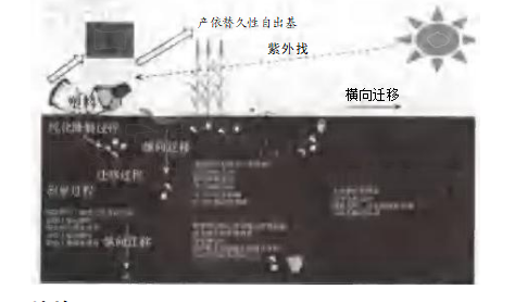 20250712110520-b26921140395f6c510578b41e5ed82dc