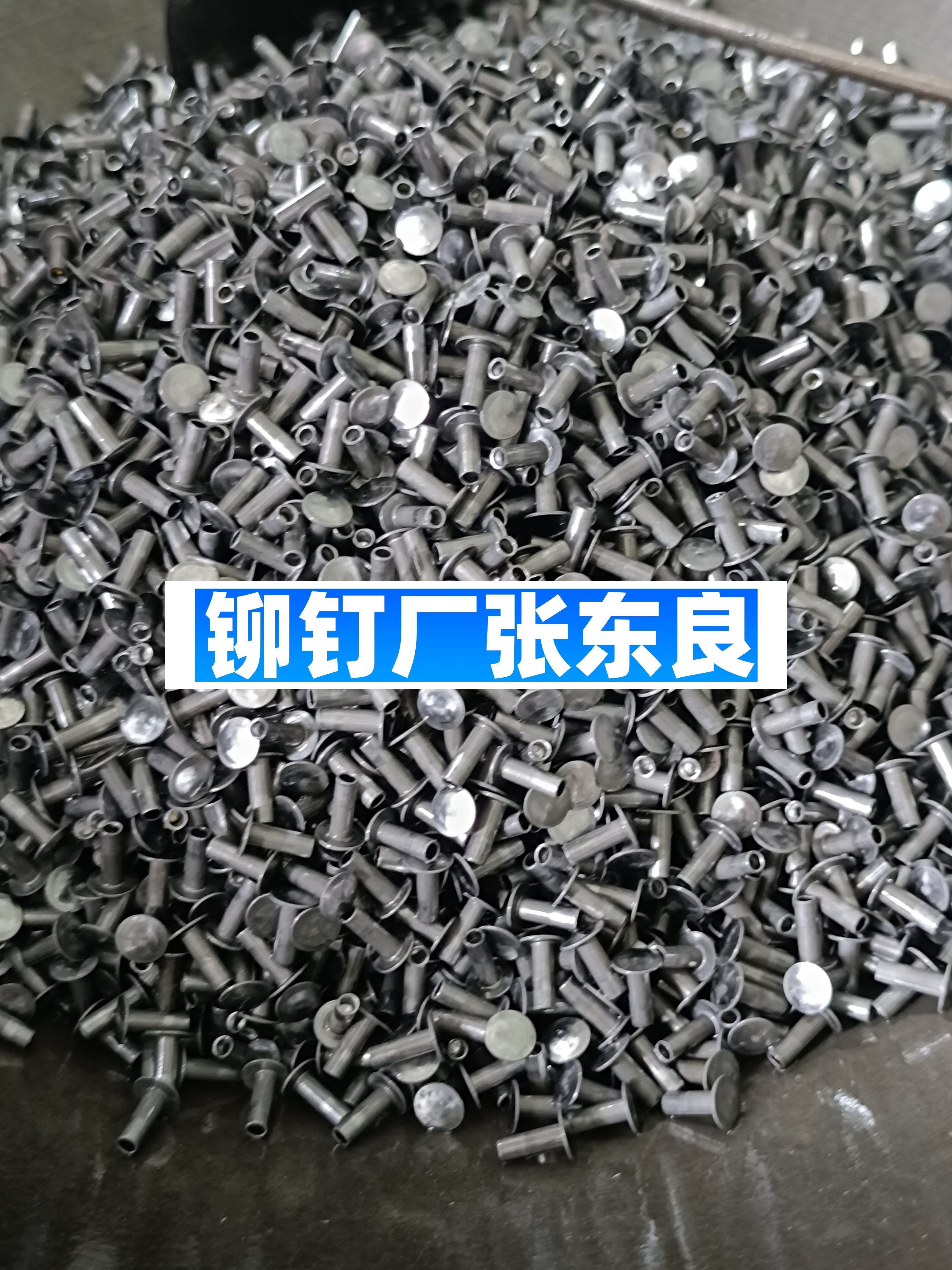 1000097931-ac1d8a3300a37c51e3dce6077a360314