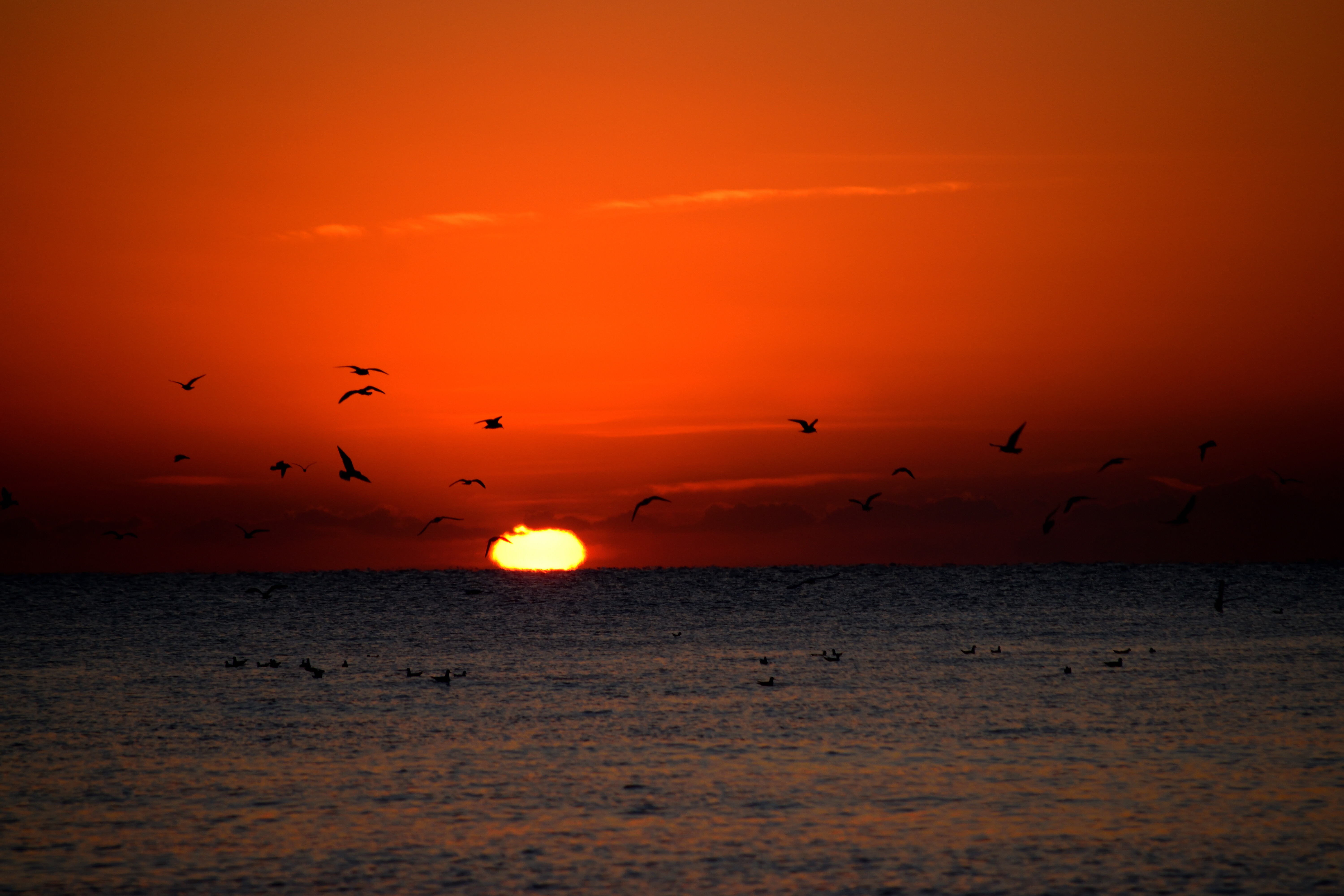 DSC_0325-3ce919d5577b789f0b5f94ee3a23aae4