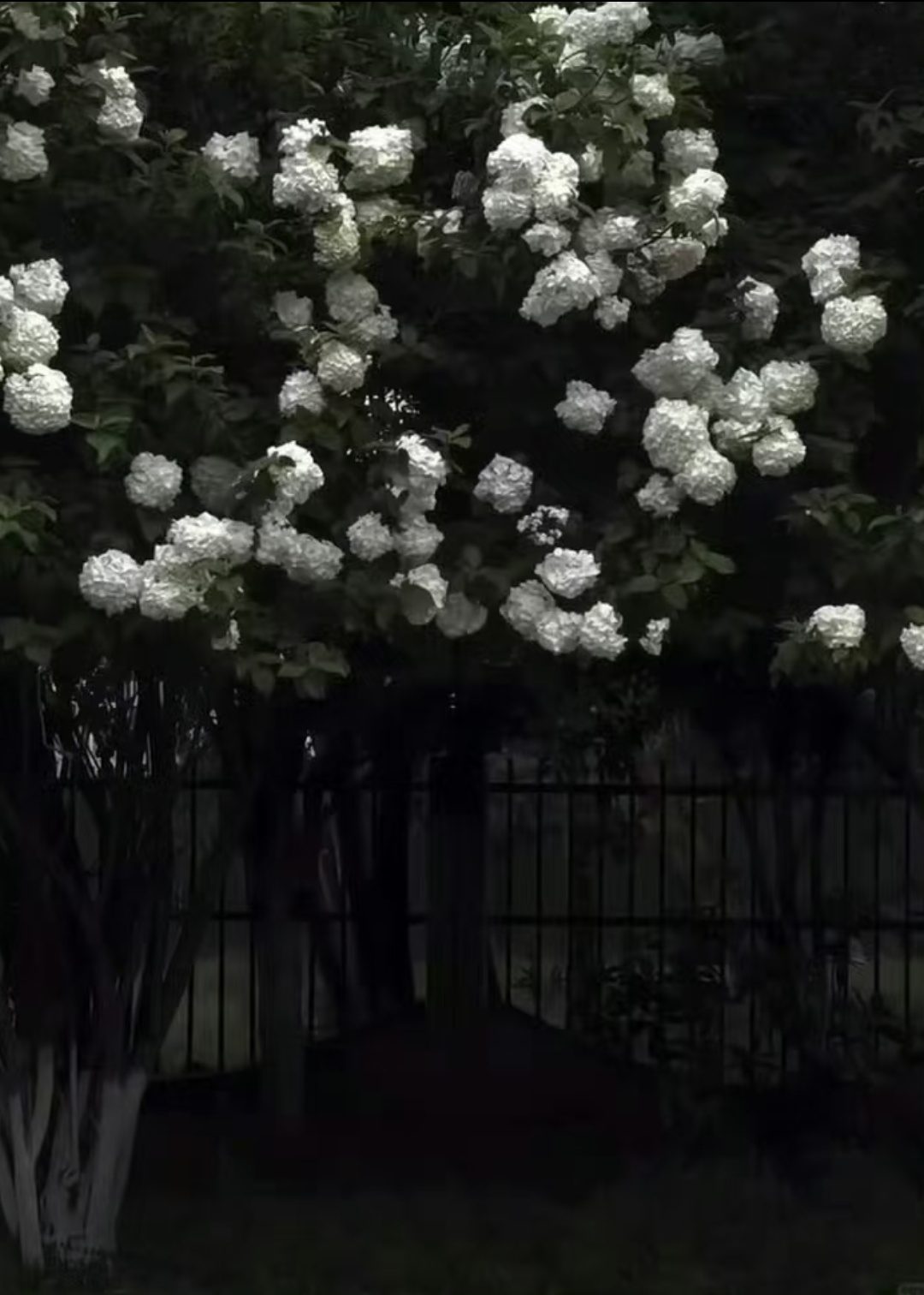 screenshot_20260529_202100-b0436c