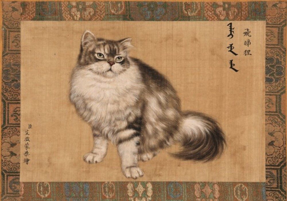 Cat5-8f2f43b24f5064aa59e9dc7862482ae1