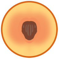7-884b49780de4f2a20849bd28829766d7.png