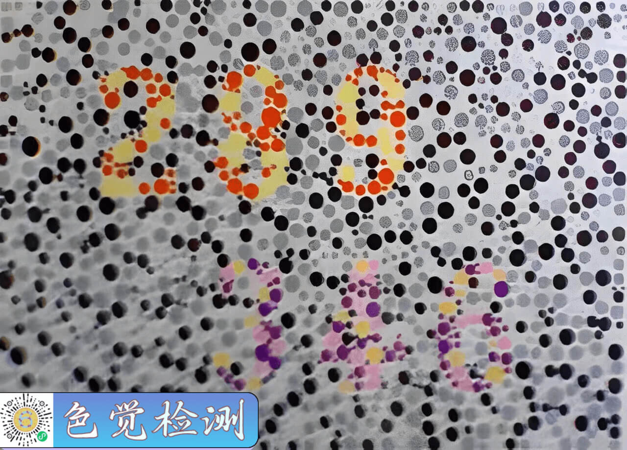image_14-4069cc6b606382f0d9c73a2c61b0155c