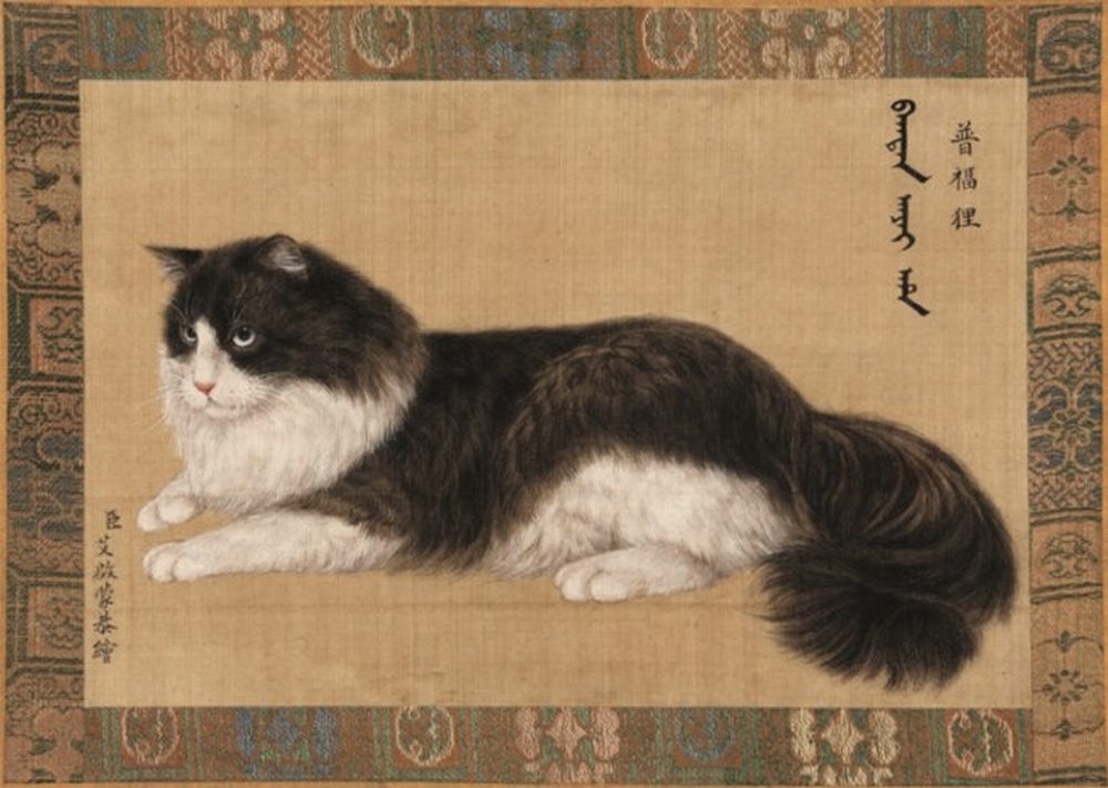 Cat1-1eaa5e9f4f29e92e7997db3045f0197c