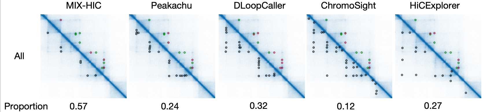 all_loops-7d79c545828c5779540b9c421b3bfce6