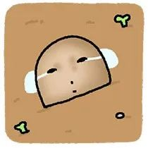 微信图片 20251017121702 52 483