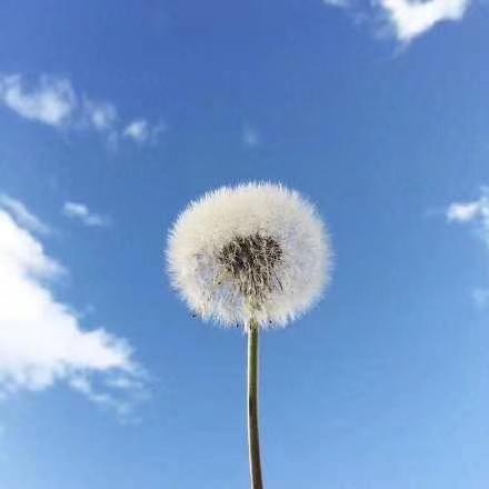 784558f71b0e4ce5-b046540ad8a5f83fd3331110e870ae8e