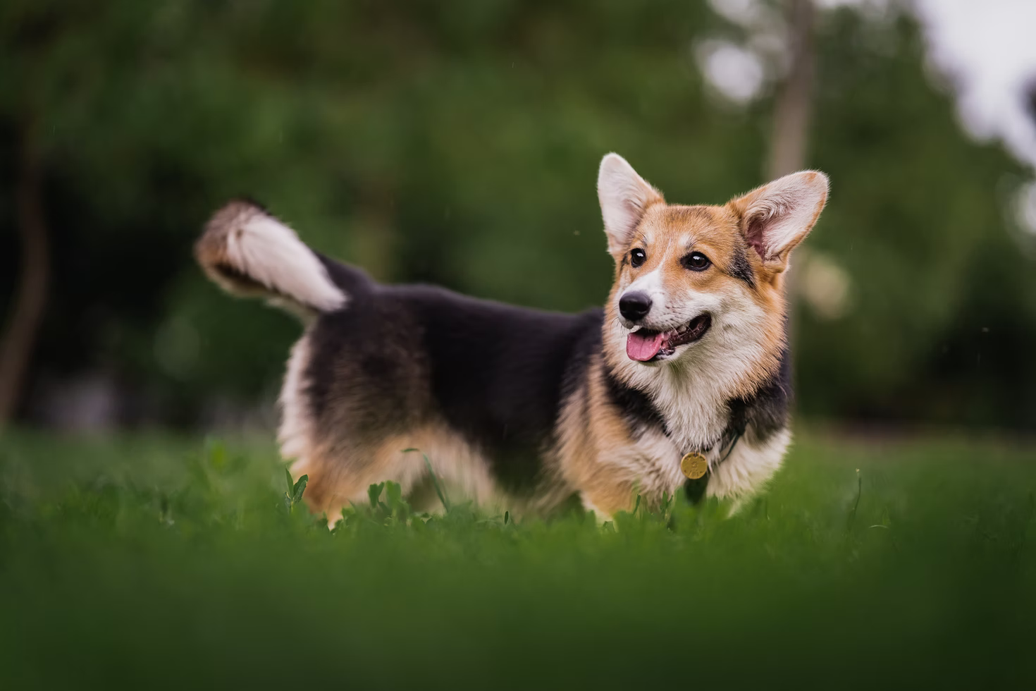 test_image-8f7b80012246e54c8337e8bcd85e3522