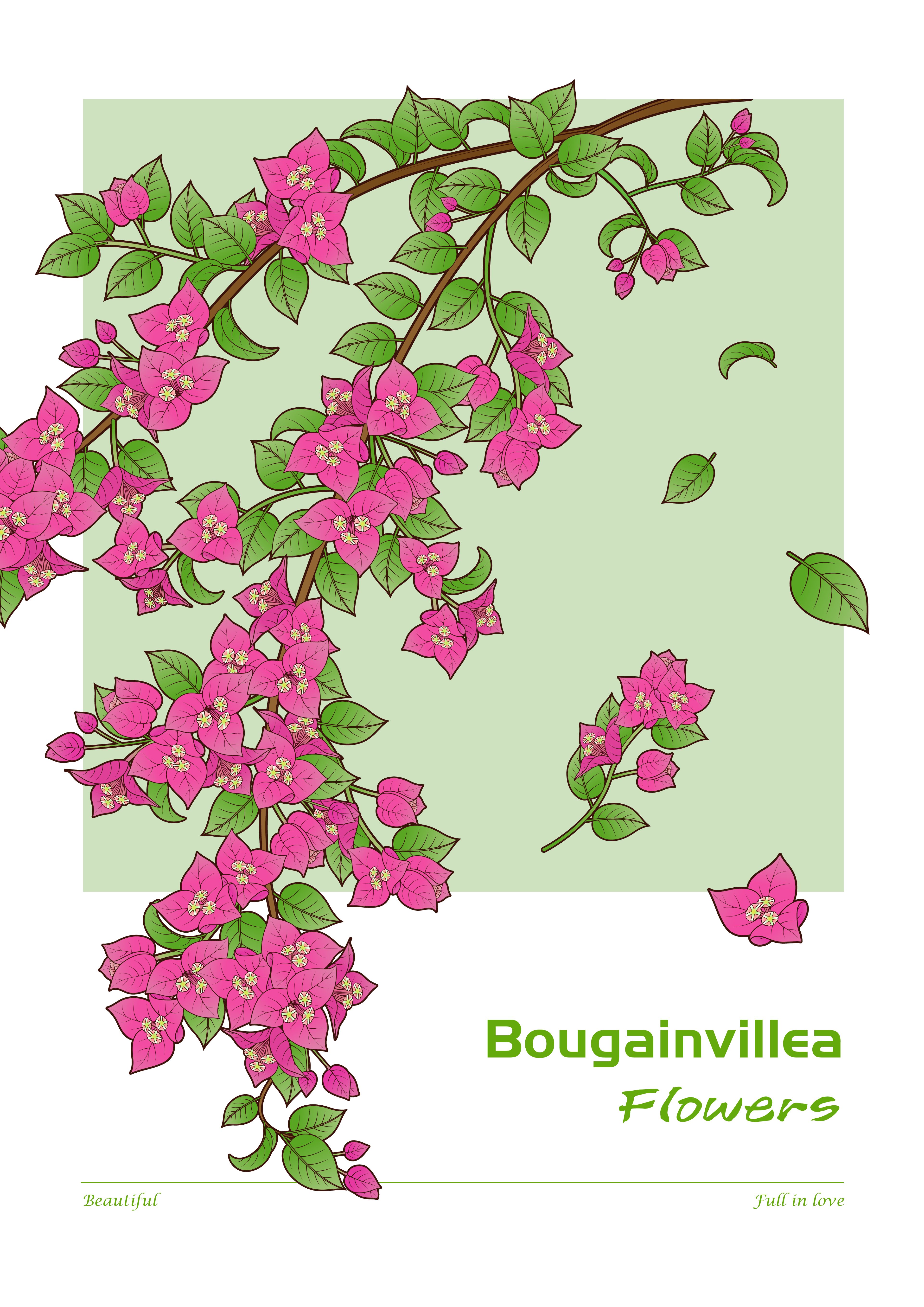 tutu_Image_Uploader-1759663723690-e010bdb2bf7f9c382b4652ec8a46038c