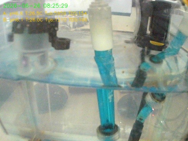 08-25-29-a05e00ef09d3f5421d268412218f21c0