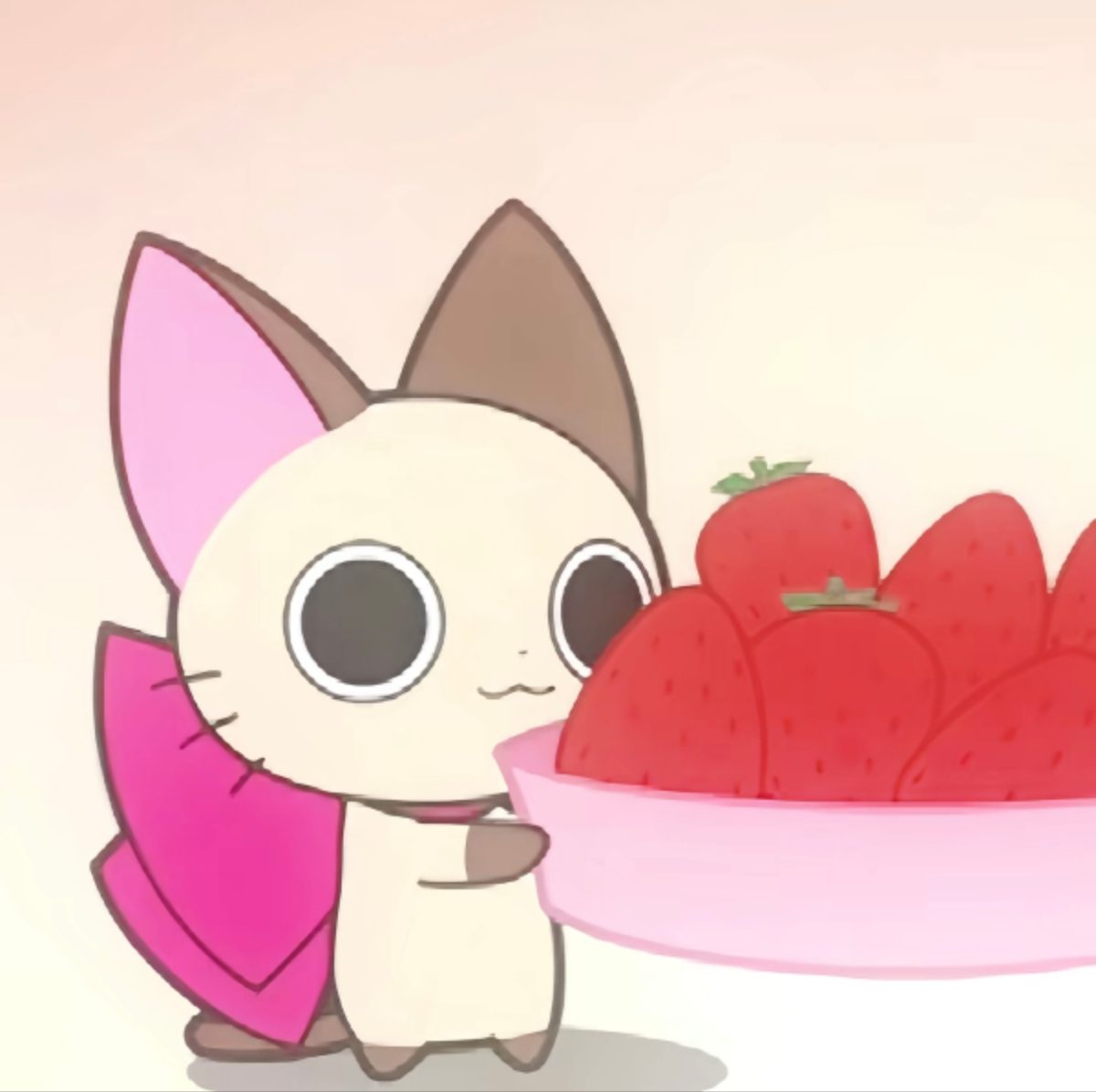 9069