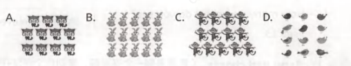 1744468648053-3ec4a4baf02285ea4b7c3765c841889e
