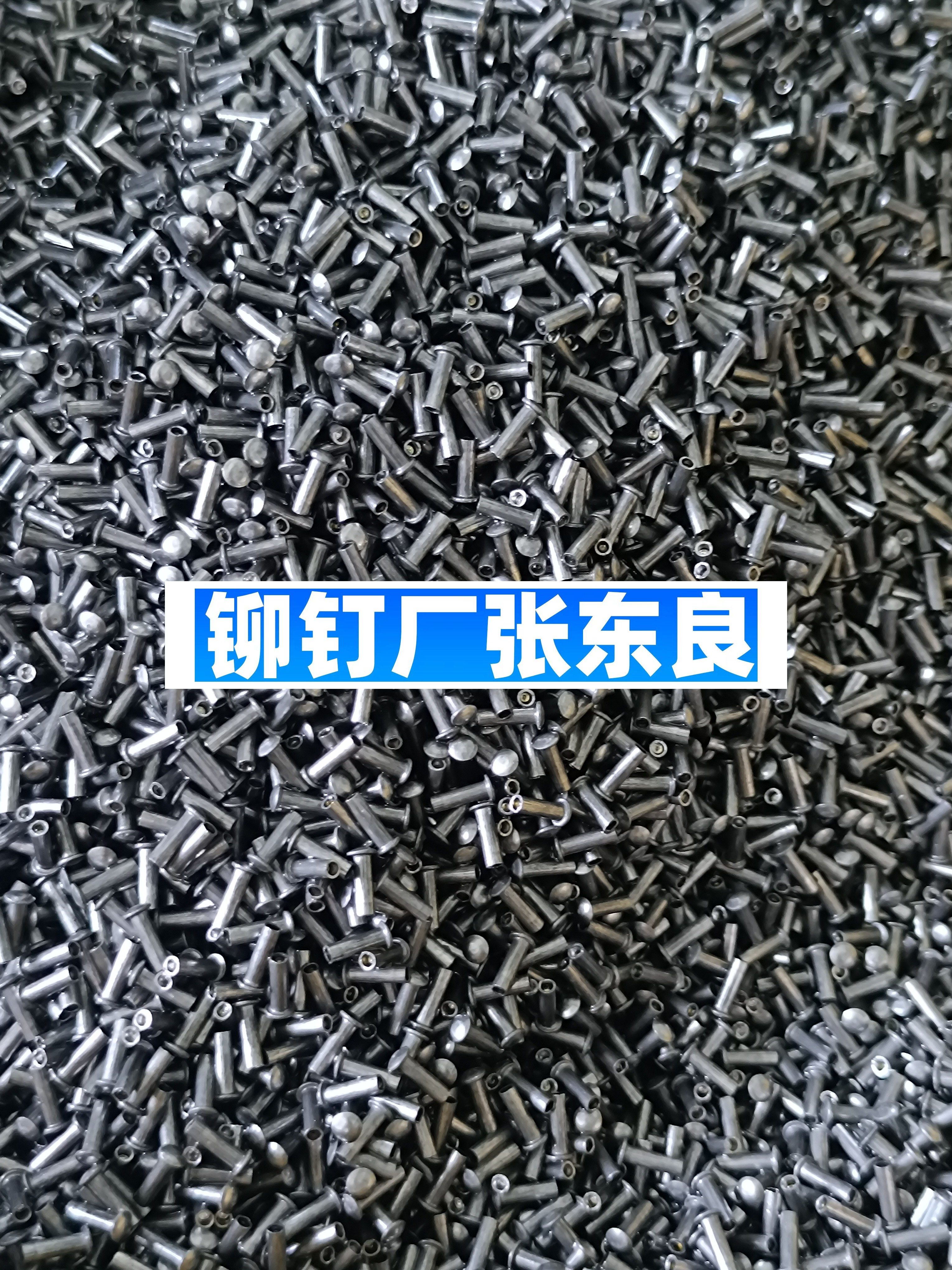 1000098998-f5e202187f70ae413a3027038f198b6f