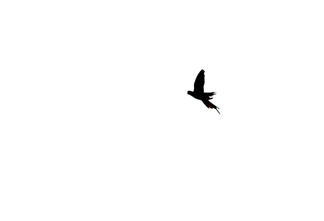 96_20260921084509