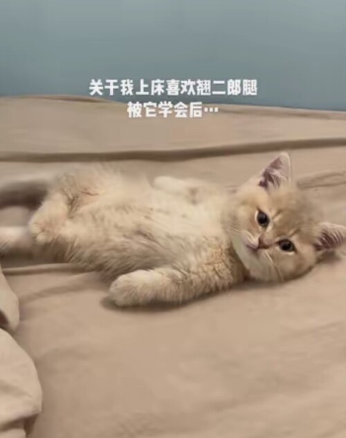 4-8d1013487d7e7407842305f64682b951.jpg