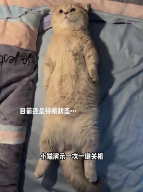 21-3ee34f9737adb2ea242c1c74282ff4a6.jpg
