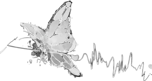 retouch 2026040113405531