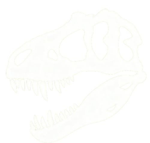 头骨 removebg preview