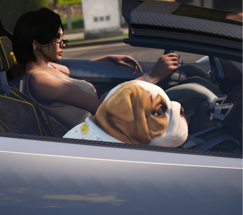 ec149a5ff79f8ad48a1062e4b5a762ed