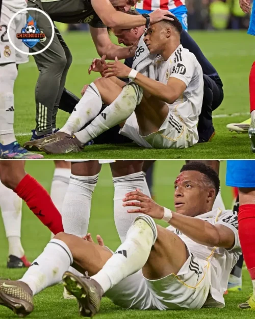 12a95c81370d4632bfef2cf03fa77f8d