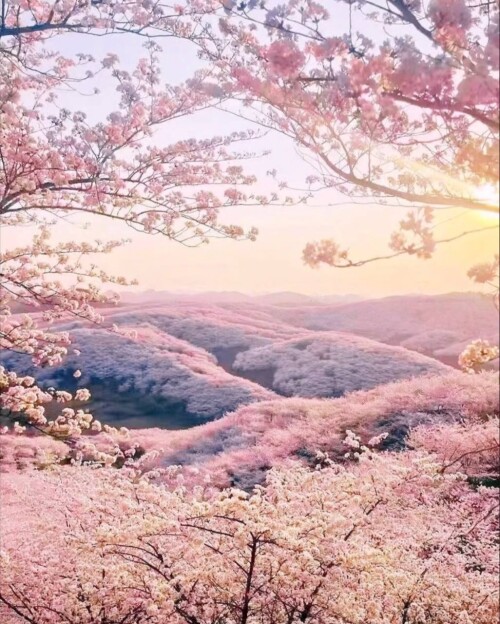 photo 2026 03 24 19 15 00