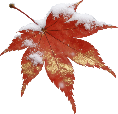 retouch 2026032511045928