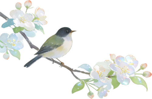 retouch 2026032604565738